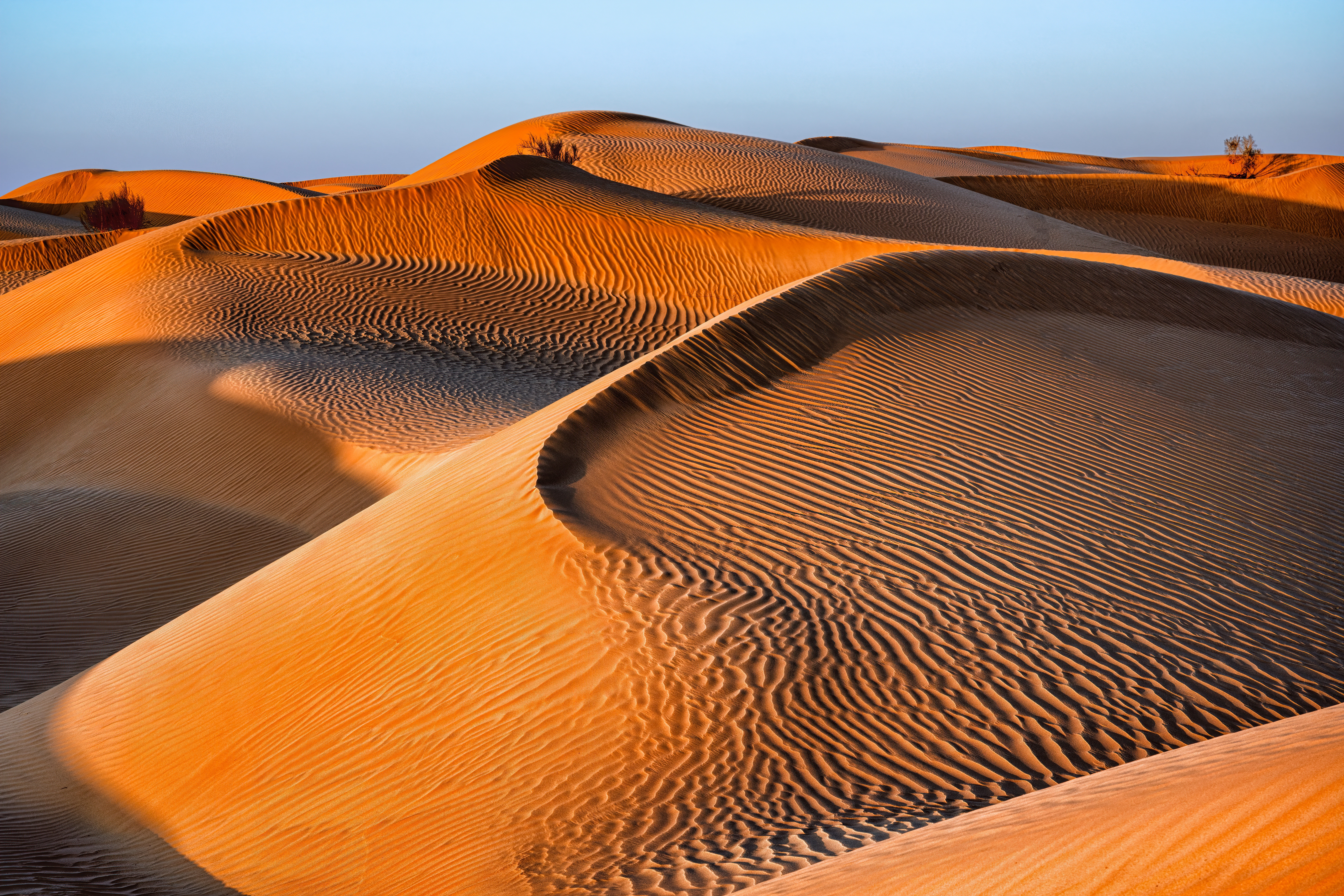 shutterstock_2168780815
