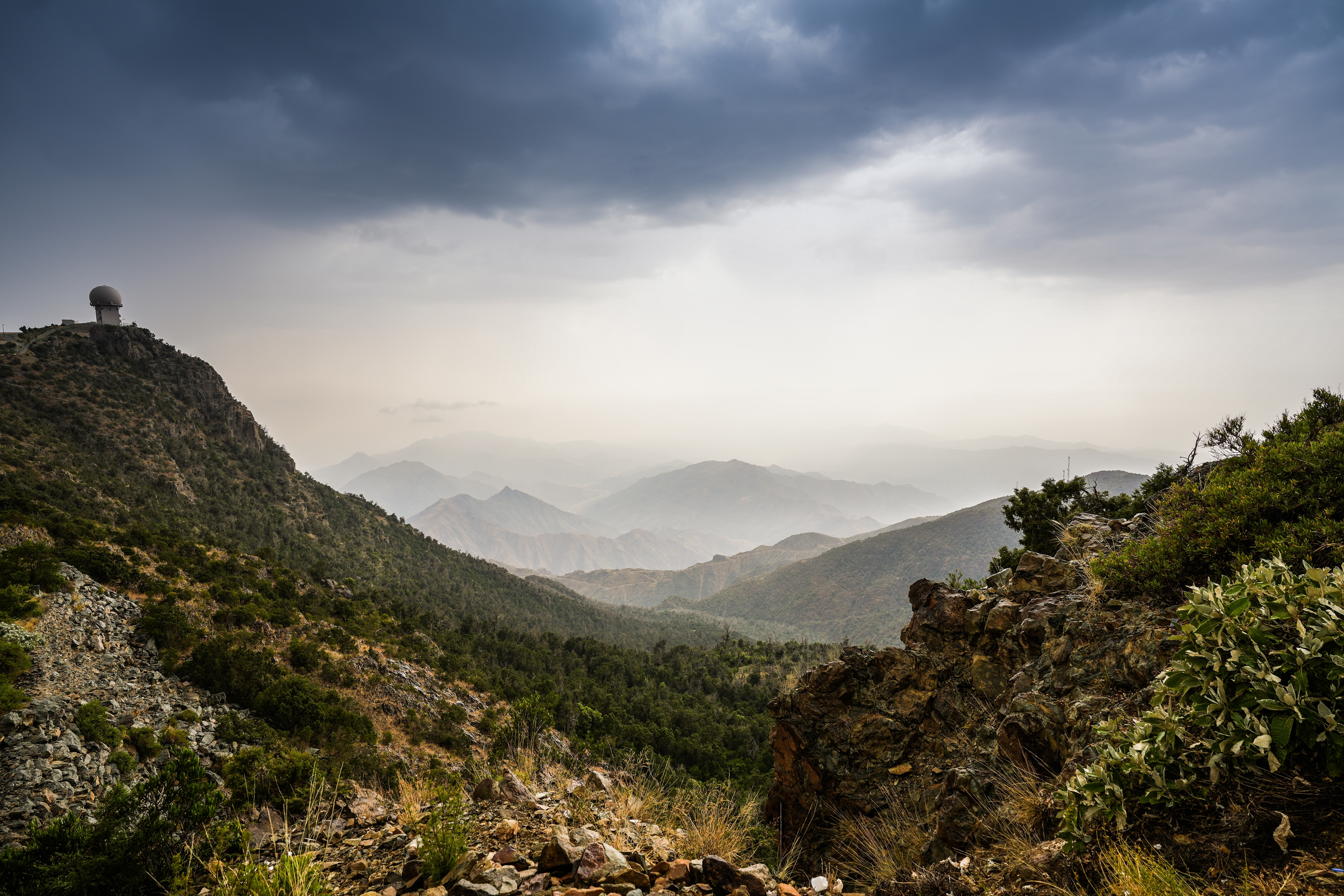 shutterstock_2388171593