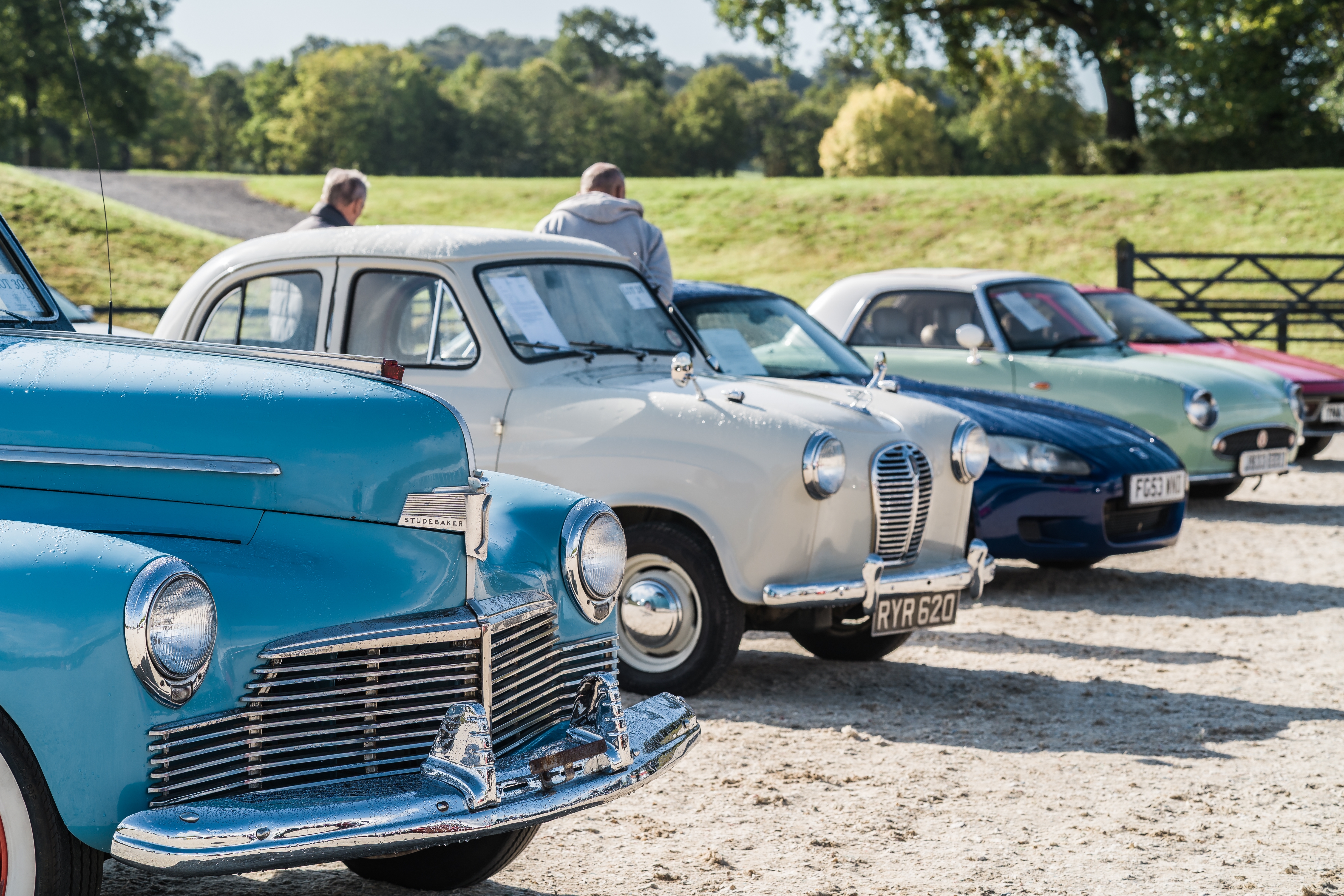 Classic cars on display at a vintage automobile gathering