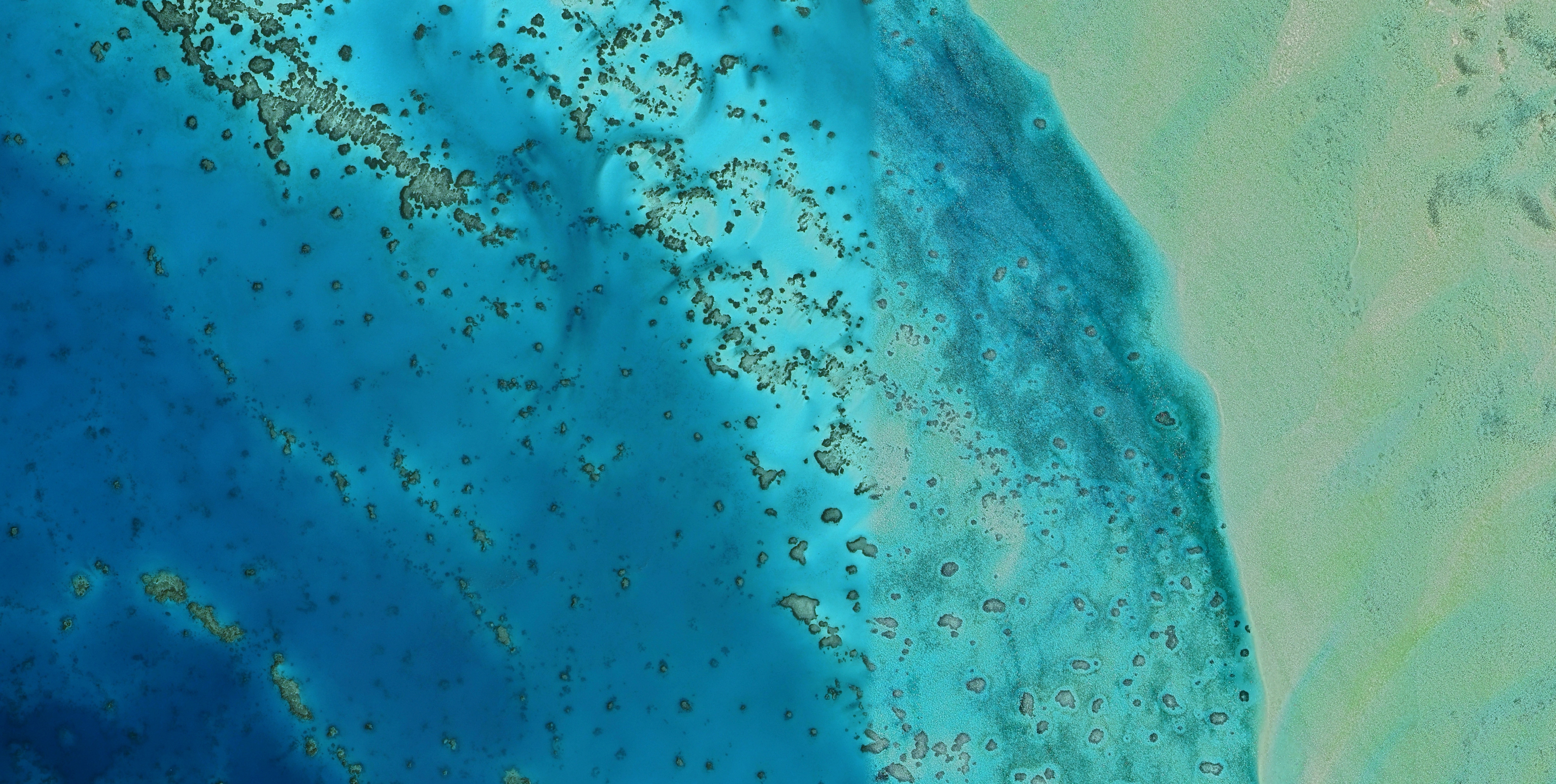 Red Sea Global redefining the future of tourism in Saudi Arabia, Red Sea coral reefs