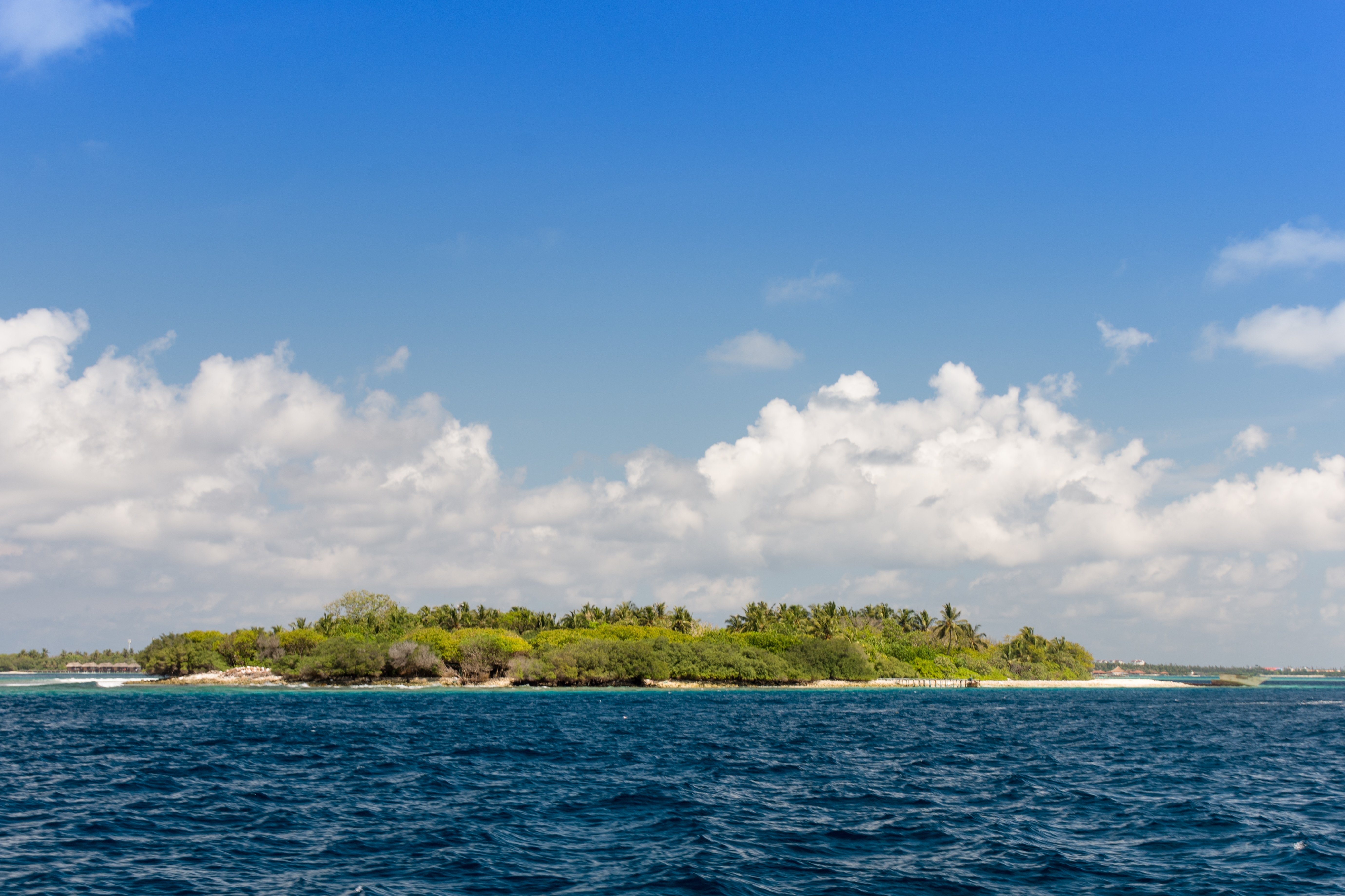 shutterstock_2838737617
