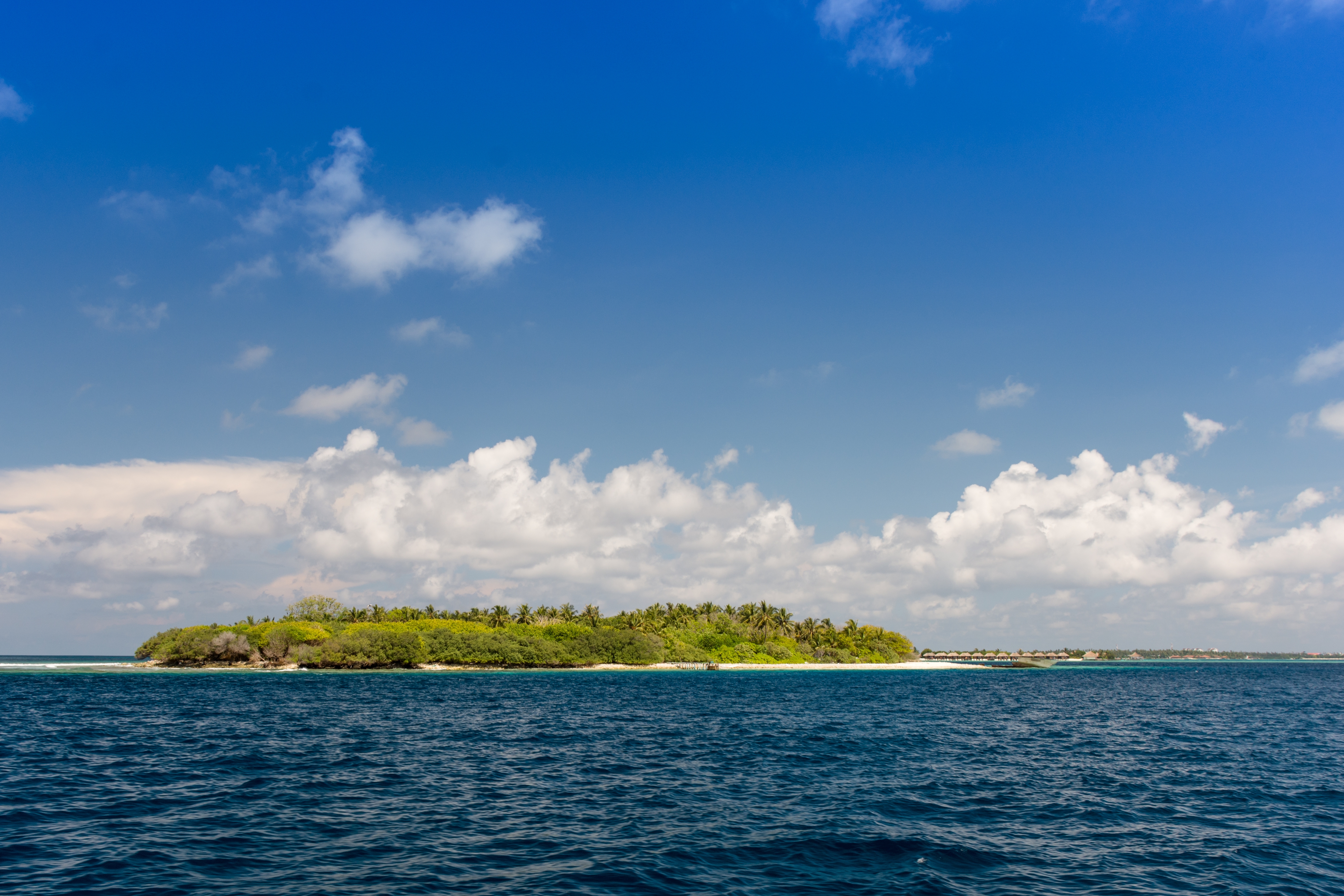 shutterstock_2838737619